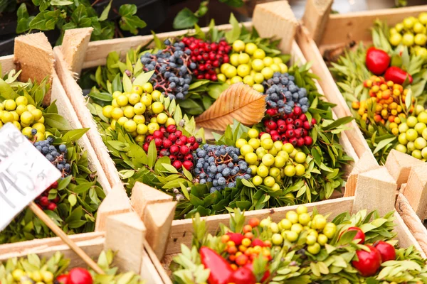 Berry çelenk — Stok fotoğraf