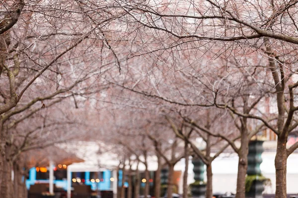 Autumn in  city — Stock Photo, Image