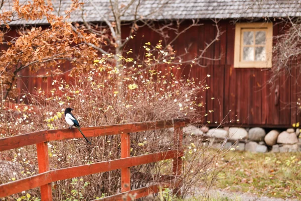 Village d'automne — Photo