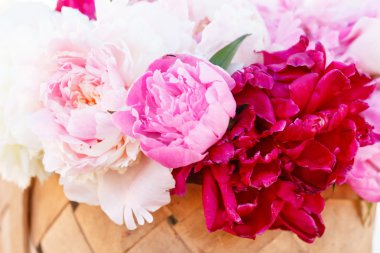 sepet içinde şakayık