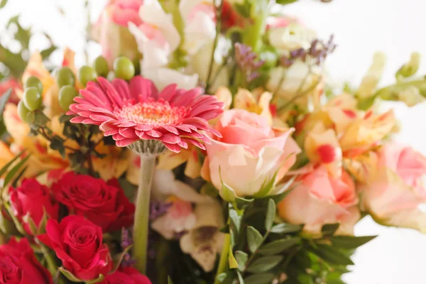 Schöne Blumen — Stockfoto