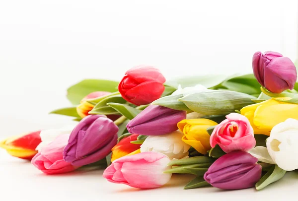 Nice tulips — Stock Photo, Image