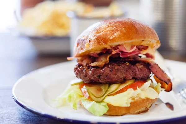 Νόστιμο burger — Φωτογραφία Αρχείου