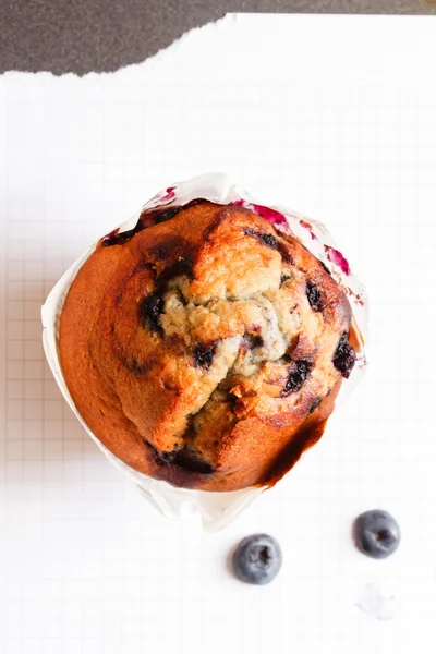 Muffin ai mirtilli — Foto Stock