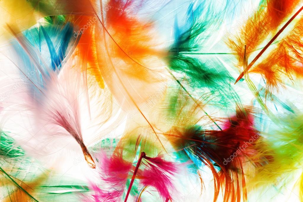 Colorful feathers