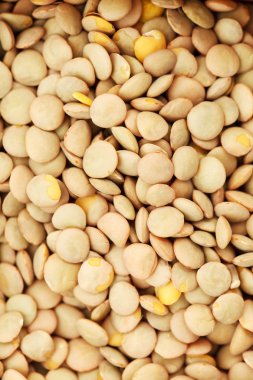 kurutulmuş mercimek