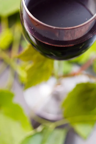 Vino rosso in bicchiere — Foto Stock