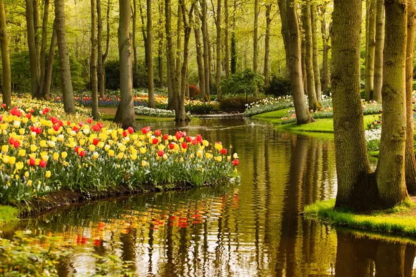 Jardín de primavera — Foto de Stock