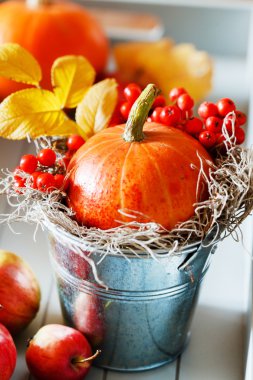 sonbahar dekorasyonu