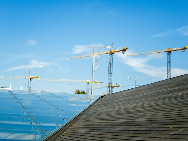 Silhouettes of cranes — Stock Photo, Image