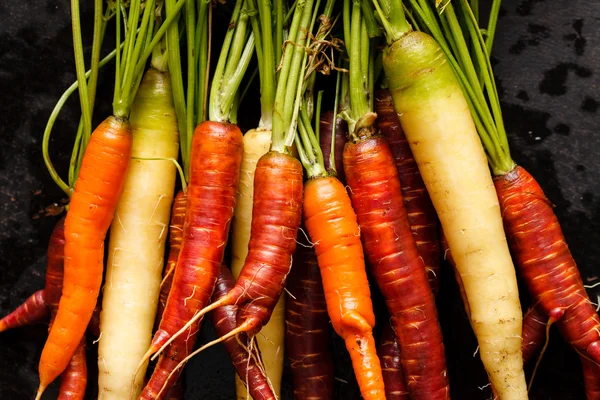 Colorful carrots — Stock Photo, Image