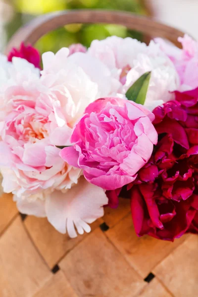 Peonies στο καλάθι — Φωτογραφία Αρχείου