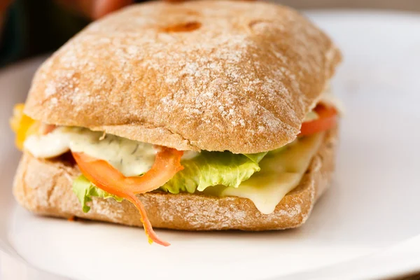 Sandwich with chicken — Stock Photo, Image