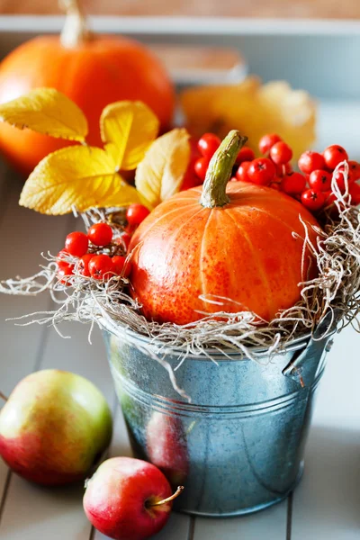 Podzimní dekorace — Stock fotografie
