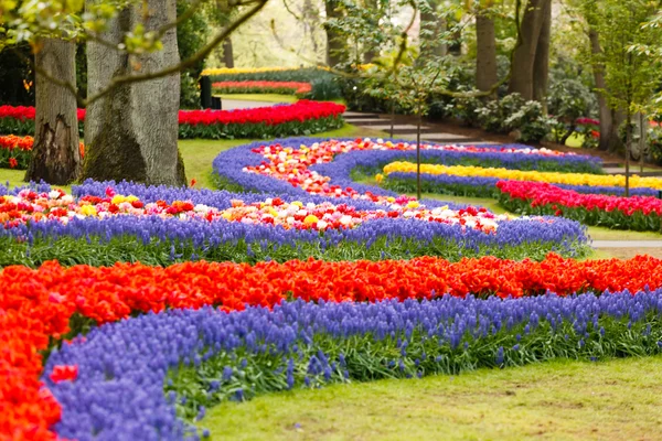 Jardim de primavera — Fotografia de Stock