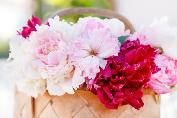Flores de peonía en cesta —  Fotos de Stock