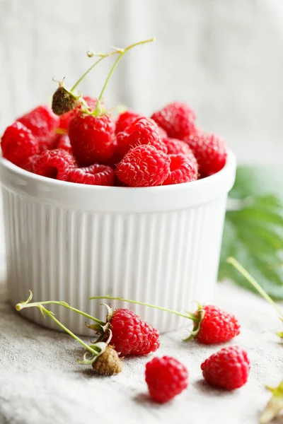 신선한 나무 딸기 — 스톡 사진