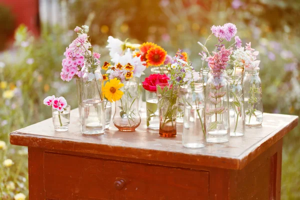 Nice flowers — Stock Photo, Image