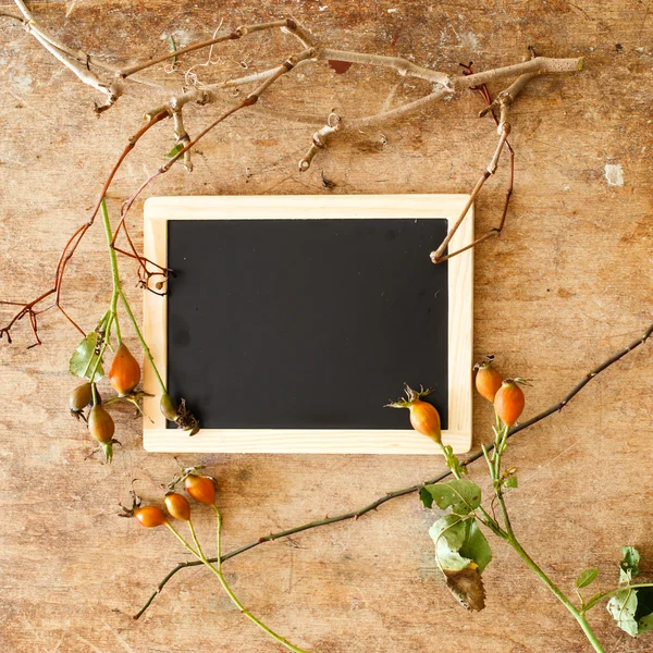 Plantas com chalkboard vazio — Fotografia de Stock