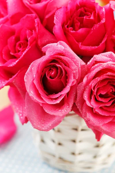 Pink roses — Stock Photo, Image