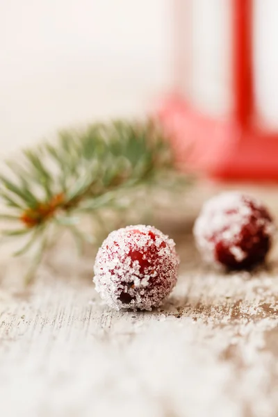 Kerstmis berry — Stockfoto