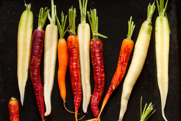 Colorful carrots — Stock Photo, Image