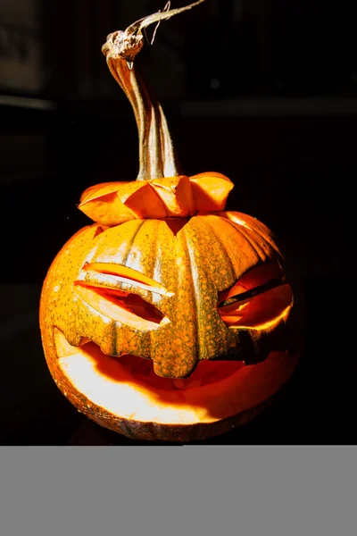 Halloween pumpa på bakgrund — Stockfoto