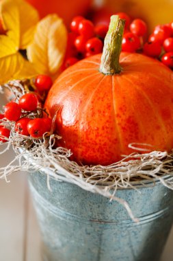 sonbahar dekorasyonu