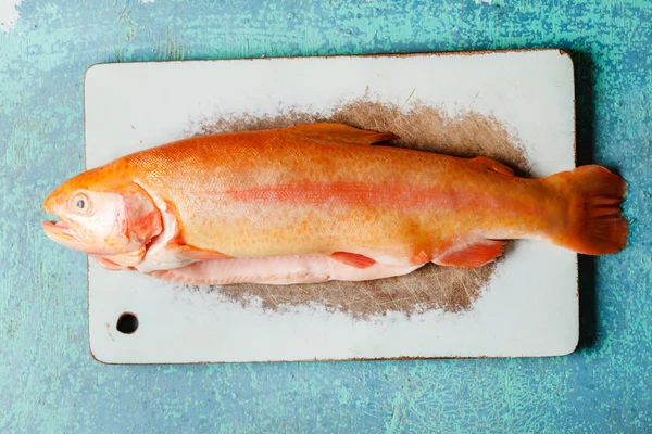 Golden trout — Stock Photo, Image