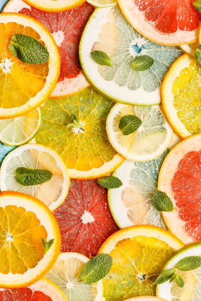 Citrus slices — Stock Photo, Image