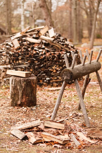 Bois de chauffage dans le jardin — Photo