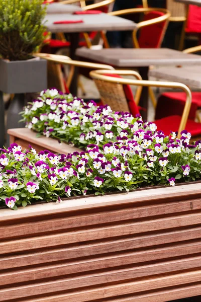 Café al aire libre — Foto de Stock