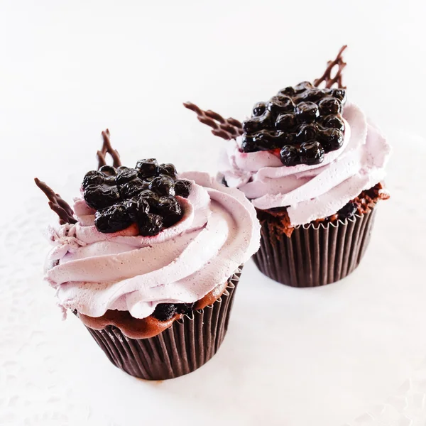 Blueberry cupcakes — Stock Fotó