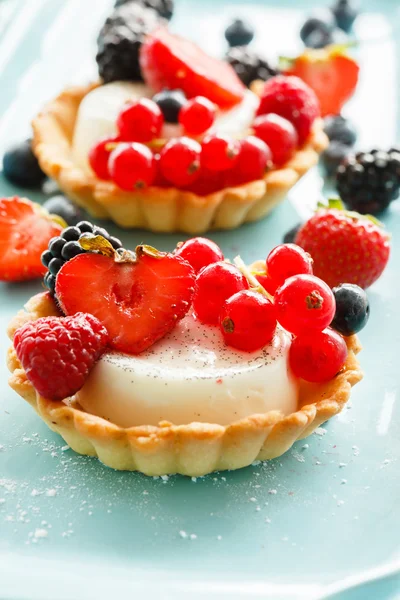 Crostata di bacche — Foto Stock