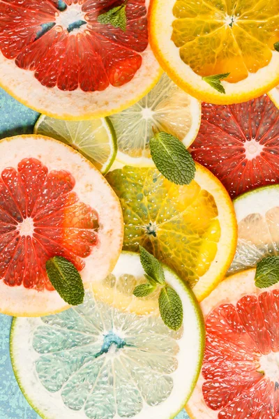 Citrus slices — Stock Photo, Image