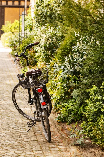 Cykel i trädgården — Stockfoto