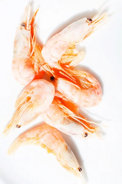 Shrimps on white — Stock Photo, Image