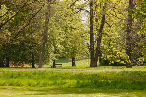 Jardín de primavera verde —  Fotos de Stock