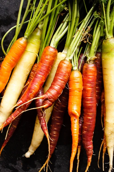 Fresh carrots — Stock Photo, Image