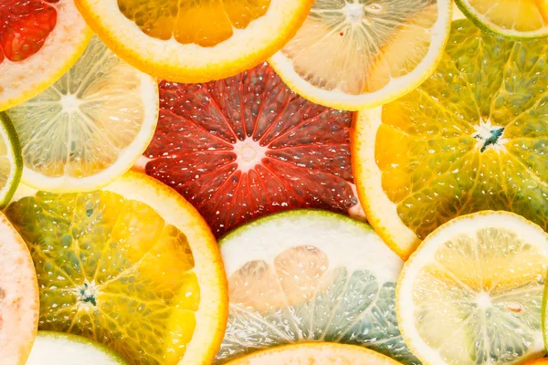 Různé citrusové řezy — Stock fotografie