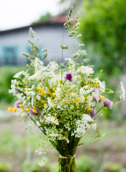 Bukett med vilda blommor — Stockfoto