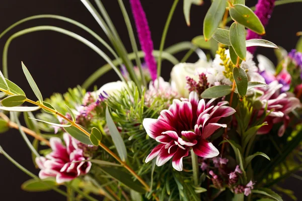 Schöne rote Blumen — Stockfoto