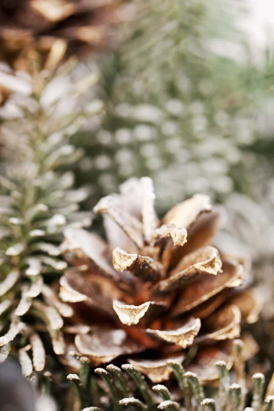 Arbre de Noël sur gros plan — Photo