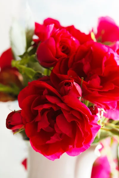 Μεγάλα κόκκινα τριαντάφυλλα — Φωτογραφία Αρχείου