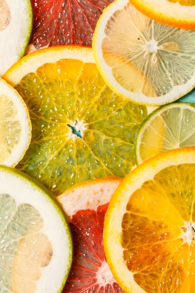 Citrus slices background — Stok fotoğraf