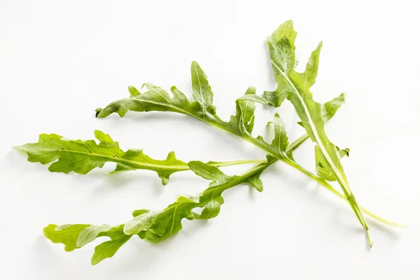 Свіже зелене листя руколи — стокове фото