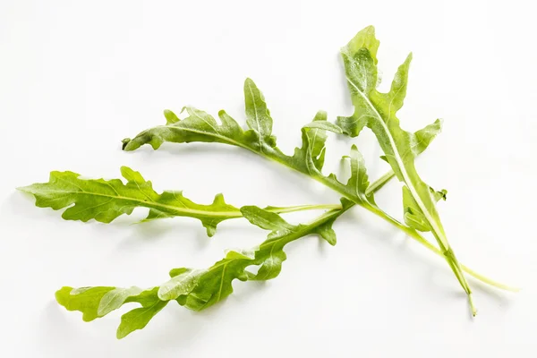 Foglie di rucola verde fresco — Foto Stock