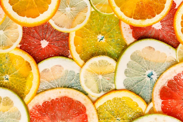 Citrus fruits slices — Stock Photo, Image