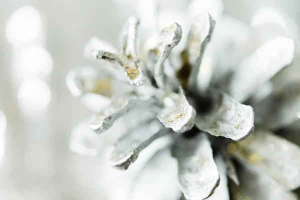 Decorative  silver cone — Stock Photo, Image