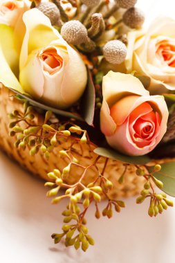 güzel pembe çiçekler